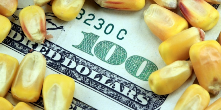 A lo Moreno, el Gobierno habilitó un cupo para la exportación de maíz: qué empresas se anotaron