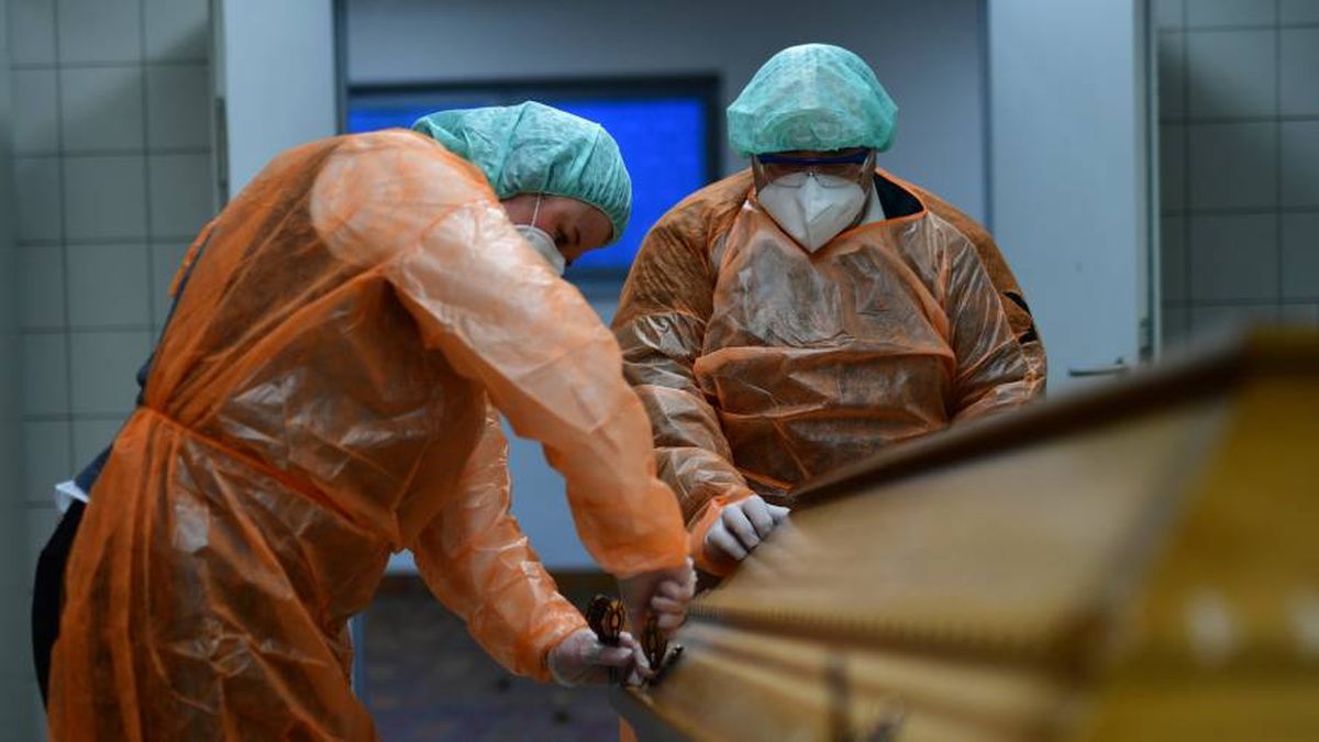 Pensión vitalicia para familiares de víctimas de Covid-19: qué monto es y a quiénes aplica