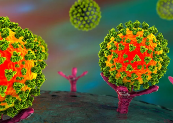 Afirman que la carga viral es similar en las variantes Ómicron y Delta de coronavirus