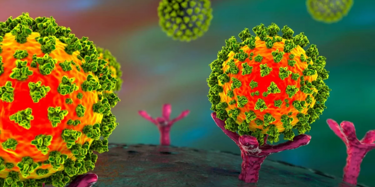 Afirman que la carga viral es similar en las variantes Ómicron y Delta de coronavirus