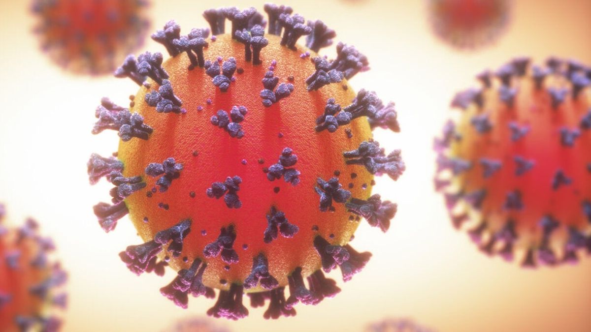 Alerta en Israel: le detectaron a una embarazada una doble infección de Covid-19 e influenza