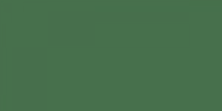 “Dimito”: el impacto de TikTok en el mercado de trabajo