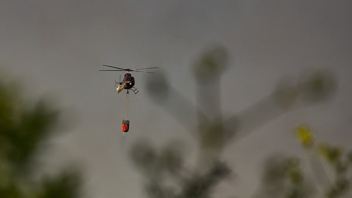 Extinguen incendios en las islas del Paraná y San Fernando