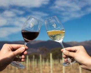 🍷 Festeja Mendoza: récord histórico de exportaciones de vinos