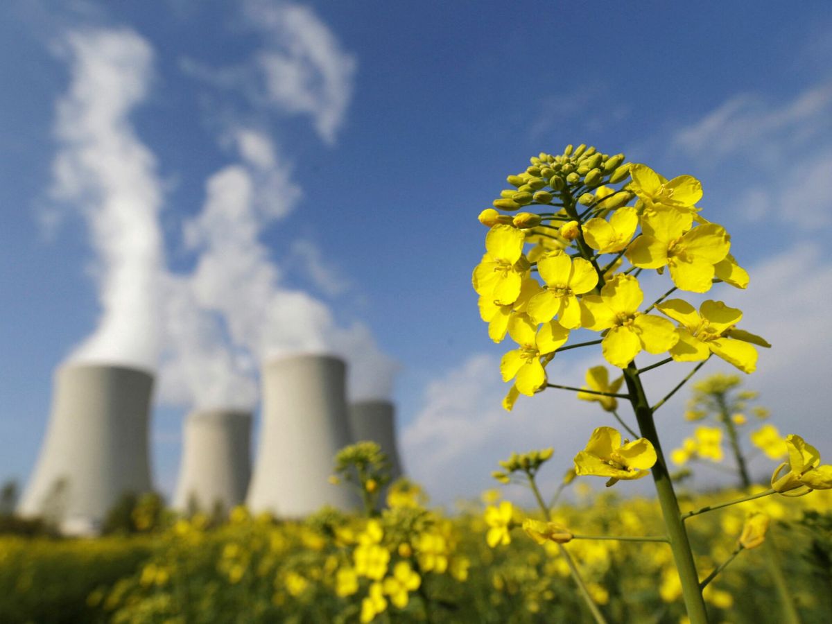 Foto: Central nuclear de Temelin, en República Checa. (Reuters/David W. Cerny)