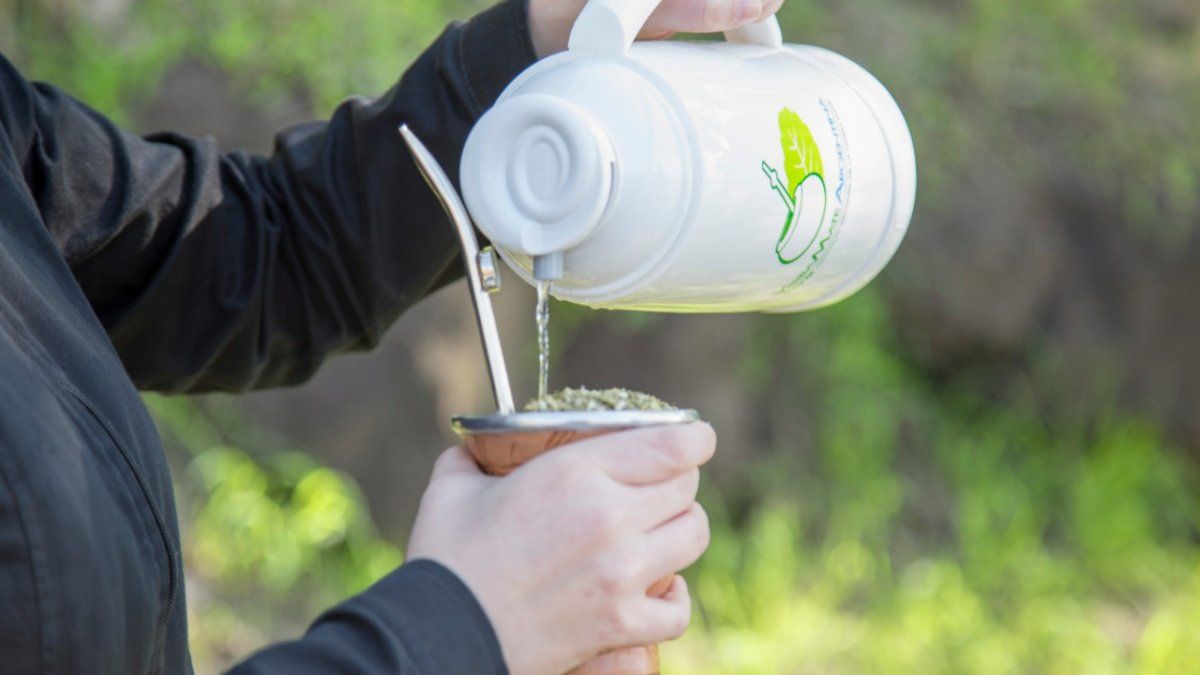 El mate no es cancerígeno, aclaró lARC