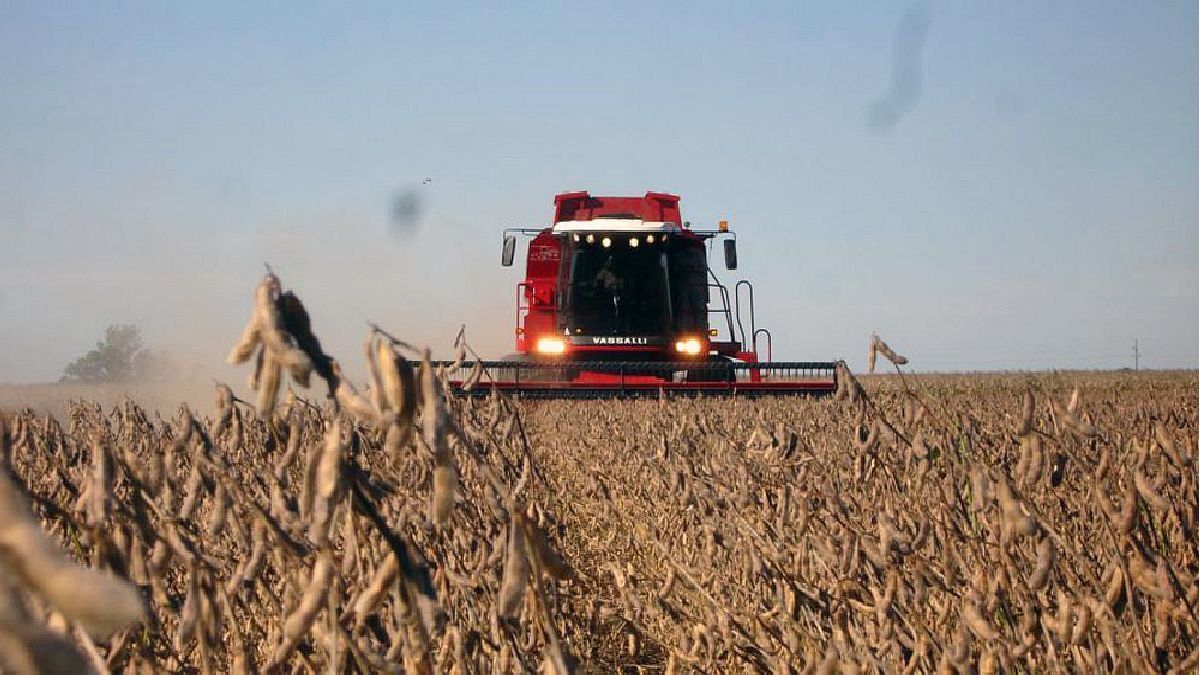 La soja se encamina a su producción más baja por la sequía