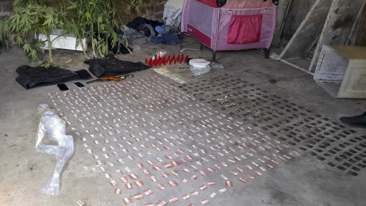 “Nadie puede chequear qué es lo que tiene una sustancia ilegal”, dijo Gabriela Torres