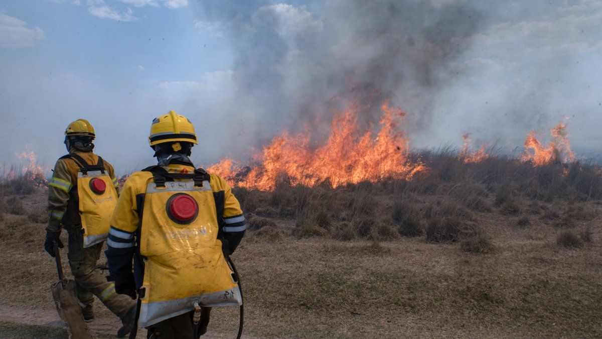 Salta envió refuerzos para combatir los incendios forestales en Corrientes
