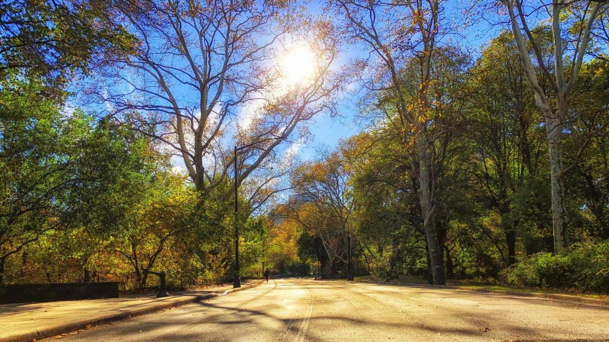 Clima: pronóstico del tiempo del jueves 3 de marzo de 2022