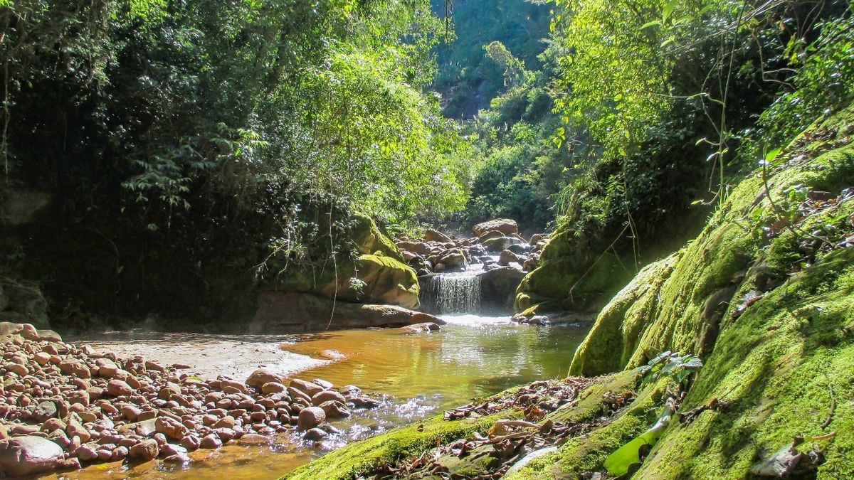 Cuáles son los nuevos parques nacionales y áreas protegidas de Argentina