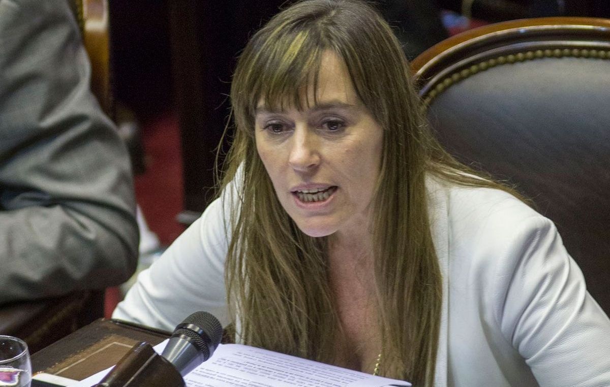 Di Tullio, polémica: “Los evasores son delincuentes, en seis meses deben pagar los tributos que fugaron”