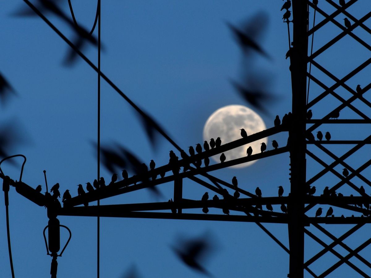 Foto: Torre de electricidad. (Eloy Alonso/EFE)