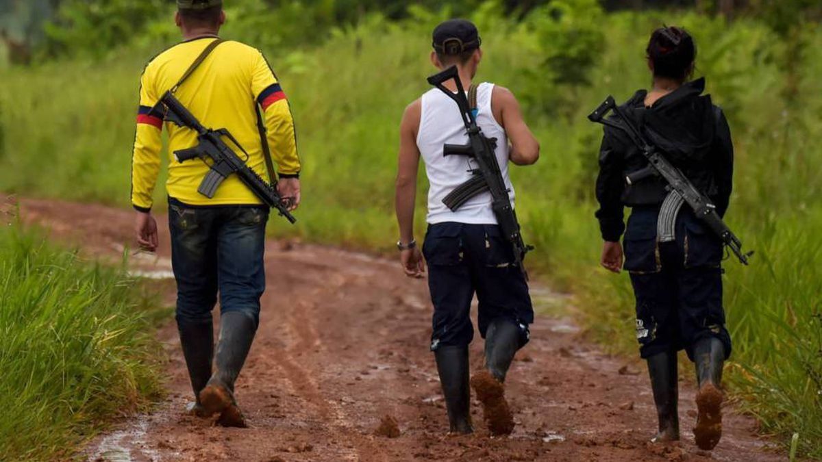Golpe a las FARC: mataron a 11 guerrilleros en una operación militar