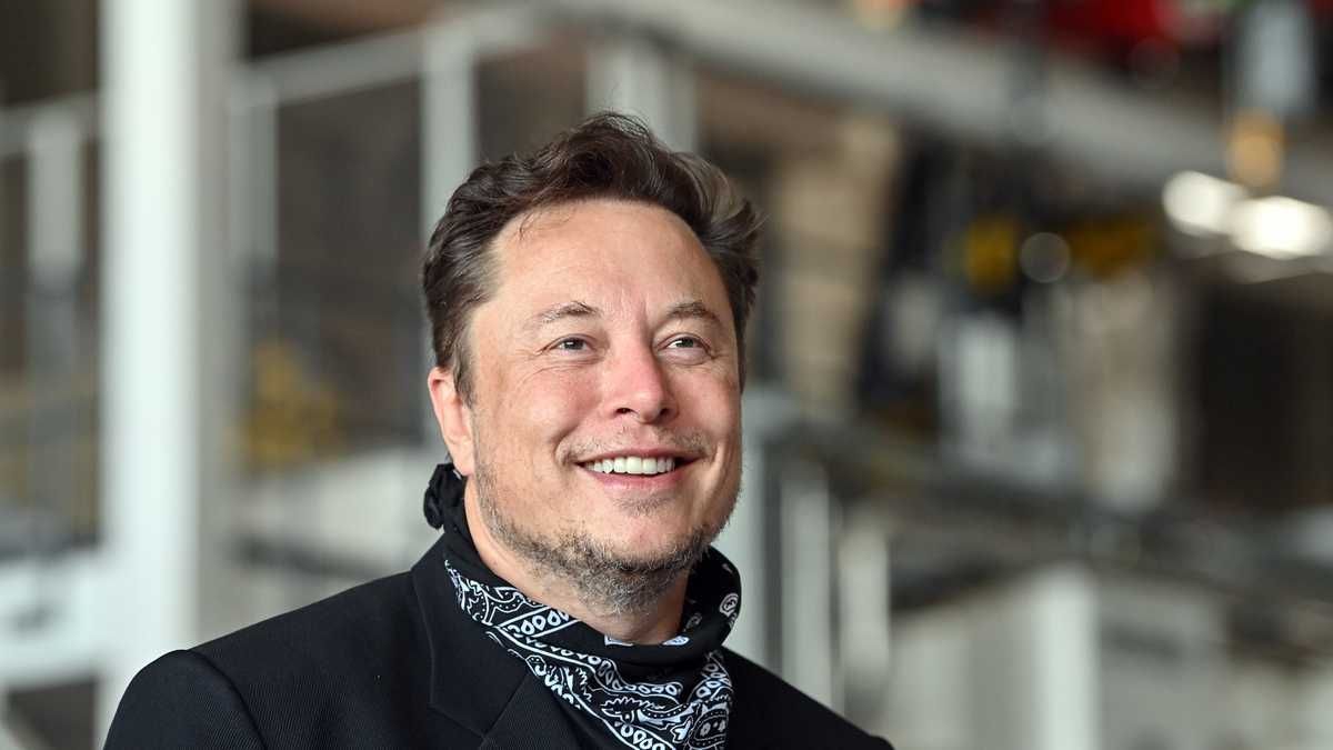 ¿Harto de Twitter? Elon Musk piensa crear nueva red social