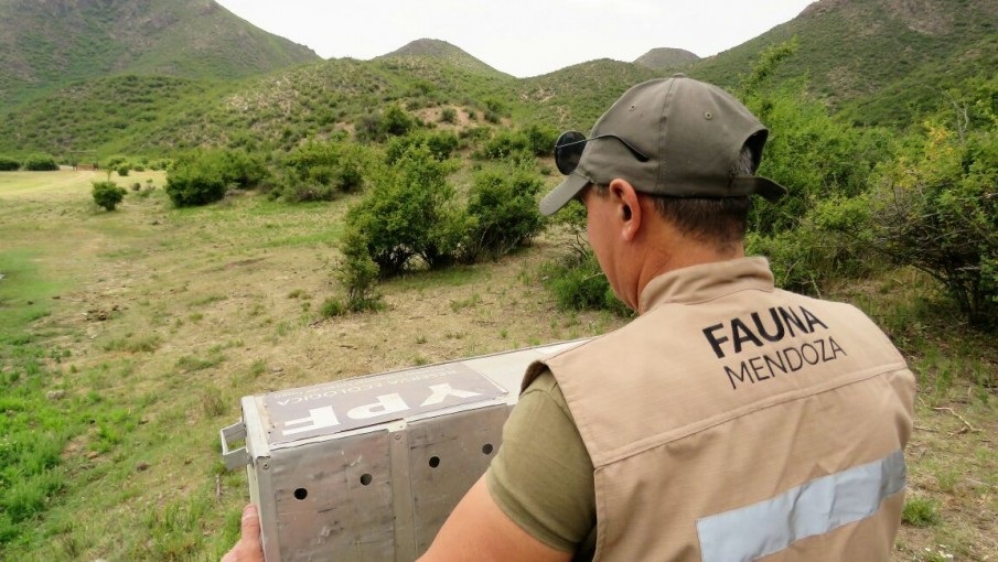 La Secretaría de Ambiente de Mendoza invirtió 9 millones de pesos en “mejoras” para el personal