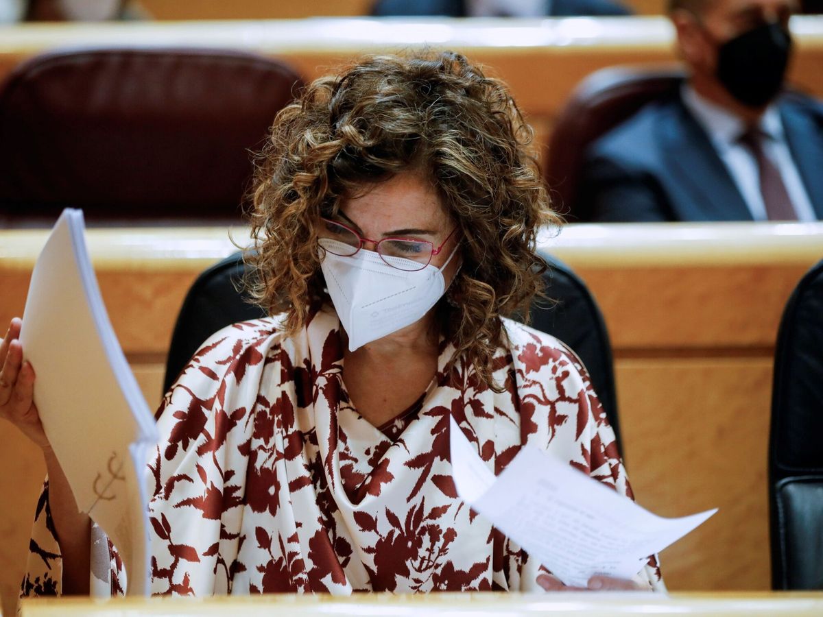 Foto: La ministra de Hacienda, María Jesús Montero, revisa documentación durante un pleno en el Senado. (EFE/David Fernández)