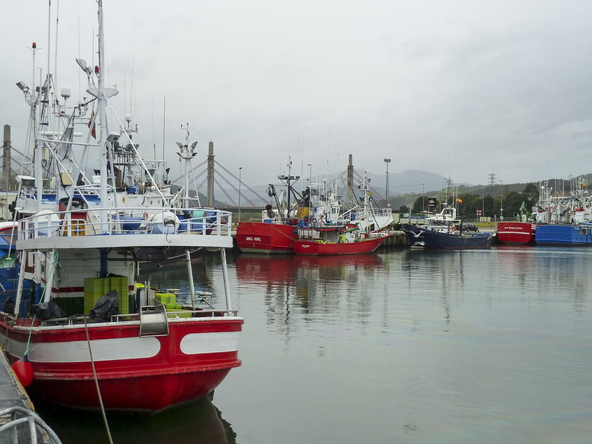 Foto: El pasado viernes se produjeron amarres parciales en Andalucía, Galicia y Asturias. (EFE/Miguel Ramos)