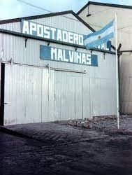 Mundos íntimos. Mi papá trajo escondida la bandera argentina que flameó en Malvinas: no quiso que estuviera en un museo inglés.