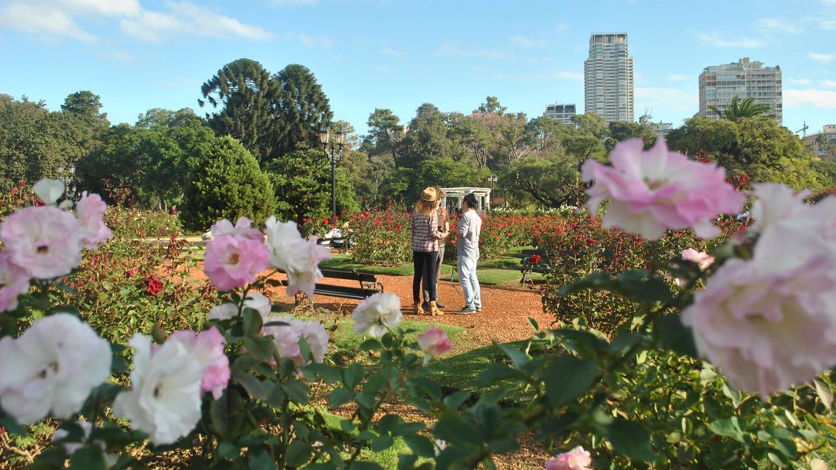 Clima: pronóstico del tiempo del jueves 14 de abril de 2022