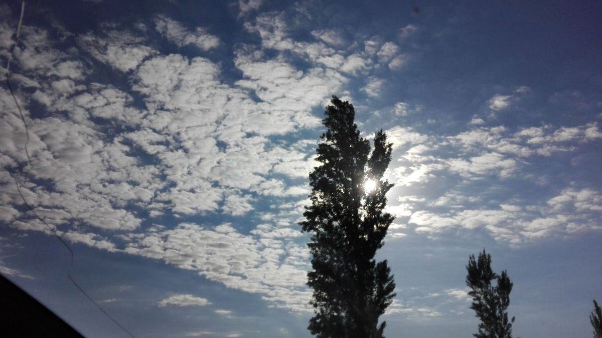 Clima: pronóstico del tiempo del jueves 31 de marzo de 2022