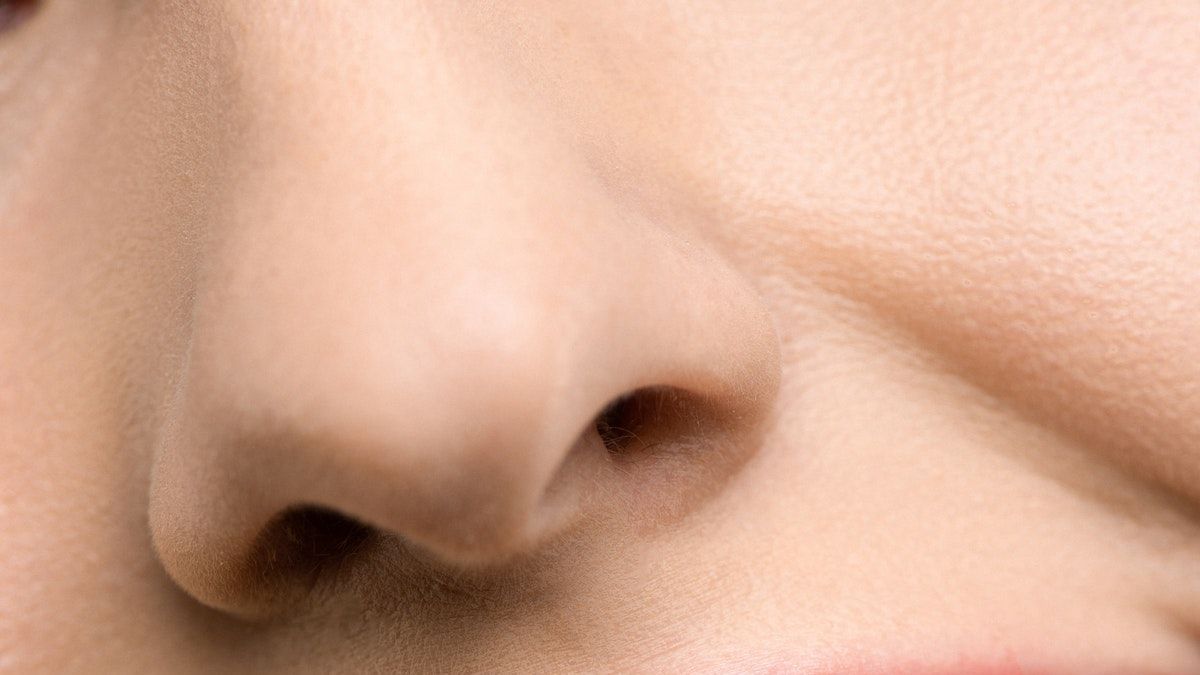 Demuestran que la pérdida de olfato por Covid-19 sería consecuencia de la inflamación nerviosa y no del virus