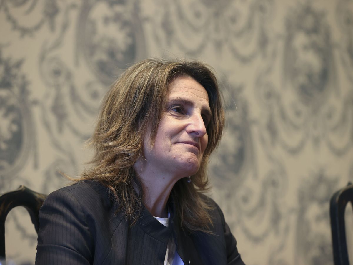 Foto: La ministra de Transición Ecológica, Teresa Ribera. (EFE/Kiko Huesca)