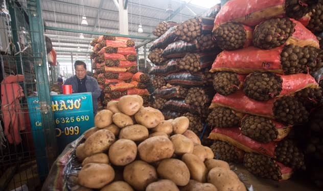 No es chiste: dieron media sanción a una normativa que prohíbe la producción de papa transgénica en Malargüe