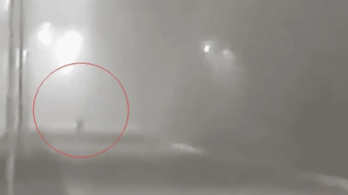 Pánico en la Universidad de Lomas de Zamora: apareció un duende y quedó registrado en un video