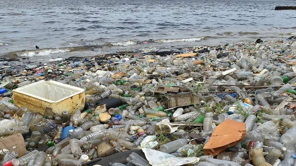 Preocupante dato de la OMS: más de 13 millones de muertes por causas ambientales evitables