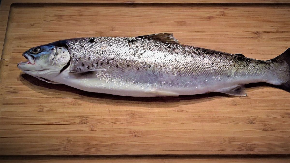 Recomendaciones para el consumo seguro de pescado en Semana Santa