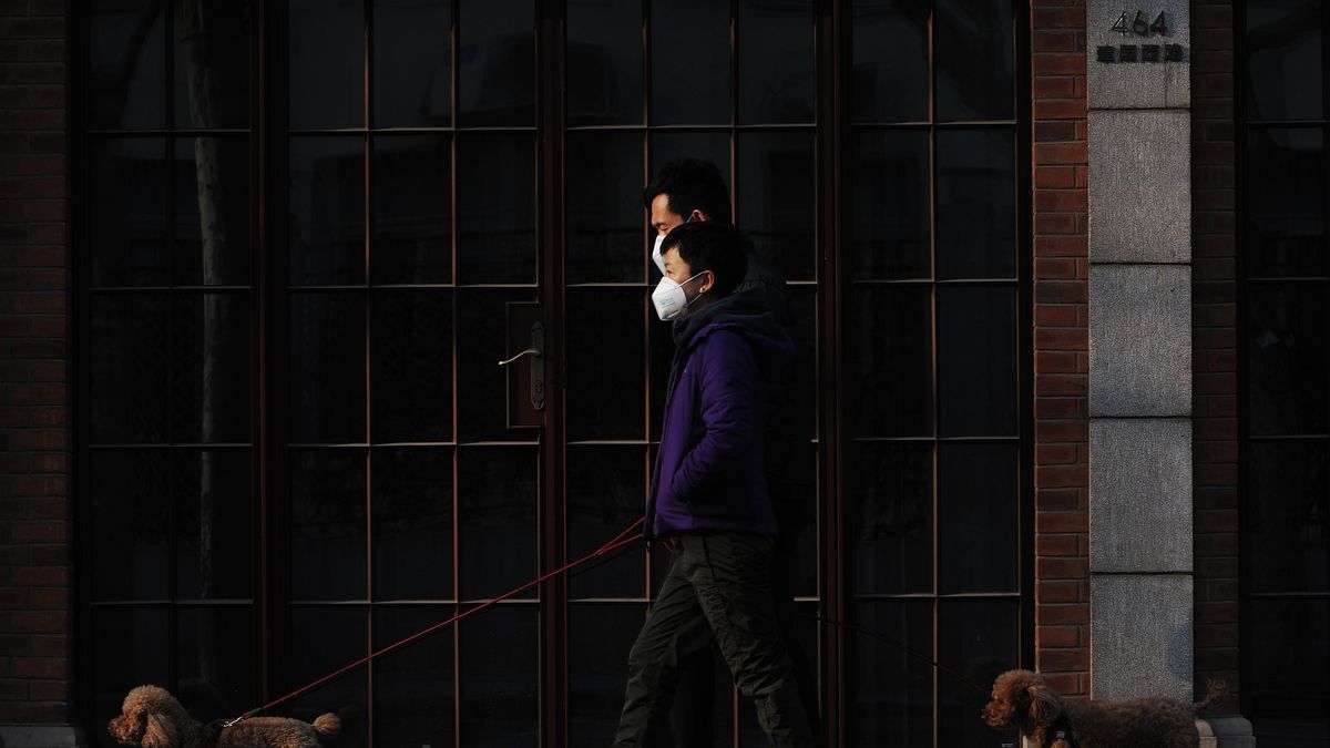 Revelan qué se precisa para infectar a una persona con Covid-19