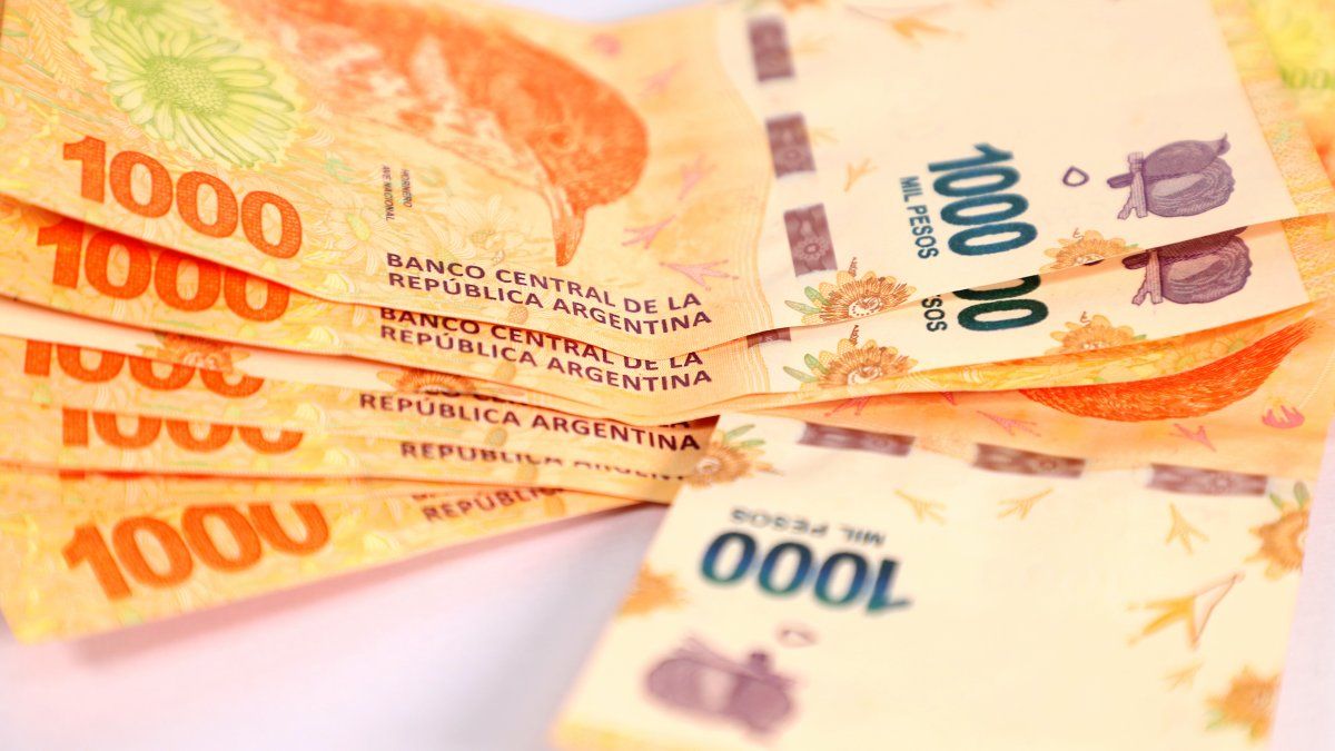 Bono de $18.000 ANSES: cómo saber si aprobaron mi inscripción para cobrar el beneficio