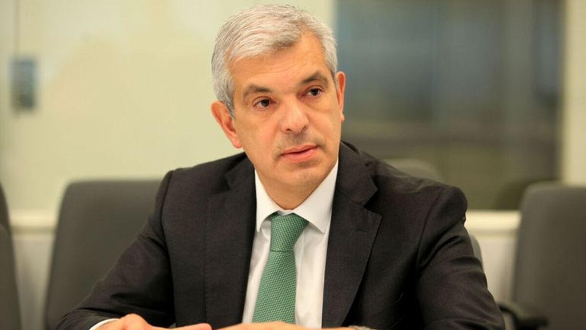 Crean el Plan Gan.Ar para impulsar la productividad e industrialización de la ganadería bovina