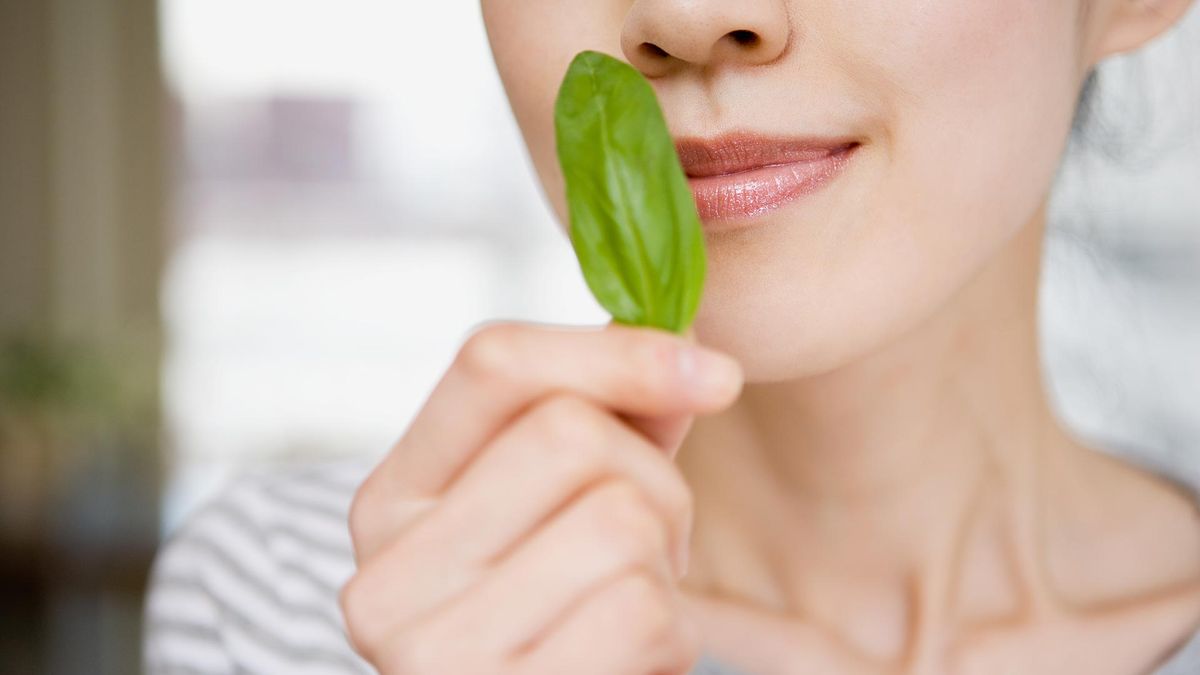 ¿Cuál es el olor preferido de las personas en todo el mundo?