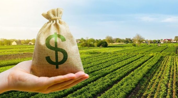 Desde el Frente de Todos aclararon que “no hay ningún proyecto sobre retenciones” en Diputados