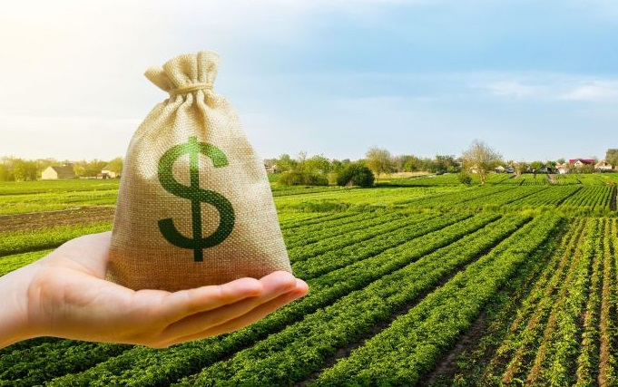 Desde el Frente de Todos aclararon que “no hay ningún proyecto sobre retenciones” en Diputados