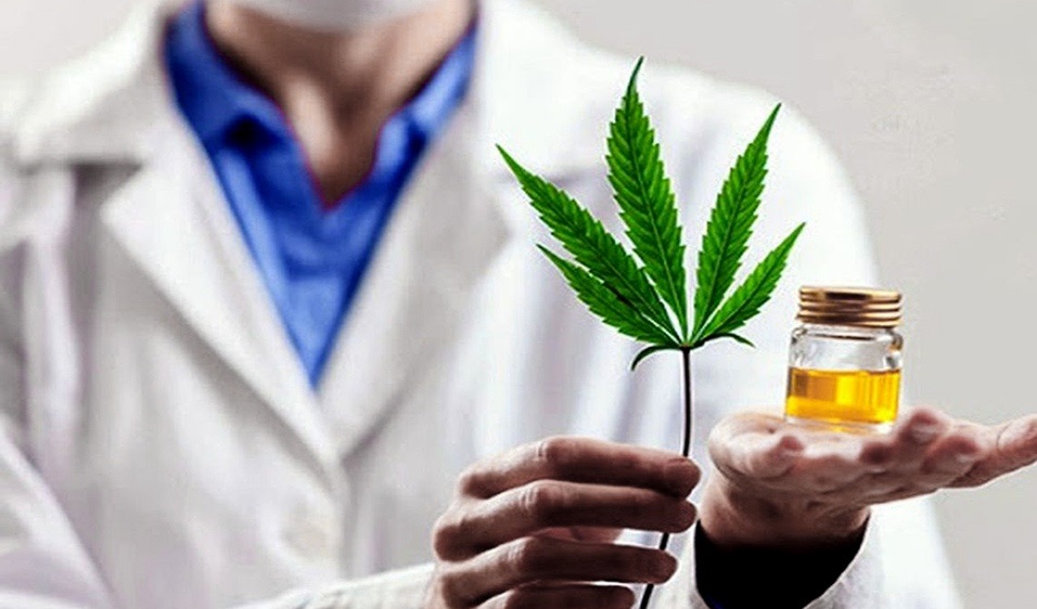 Diputados convirtió en ley el marco regulatorio para el cannabis medicinal y el cáñamo industrial