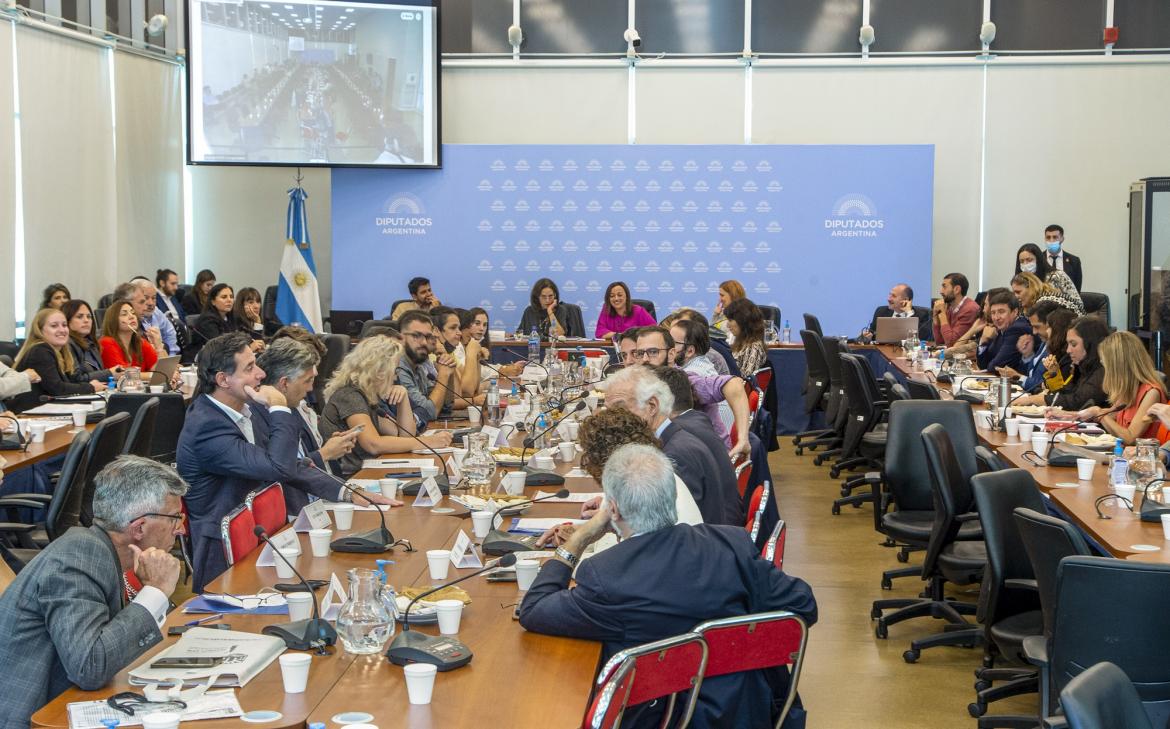Diputados recalienta la agenda con debate de Boleta Única, Compre Argentino y Consejo de la Magistratura