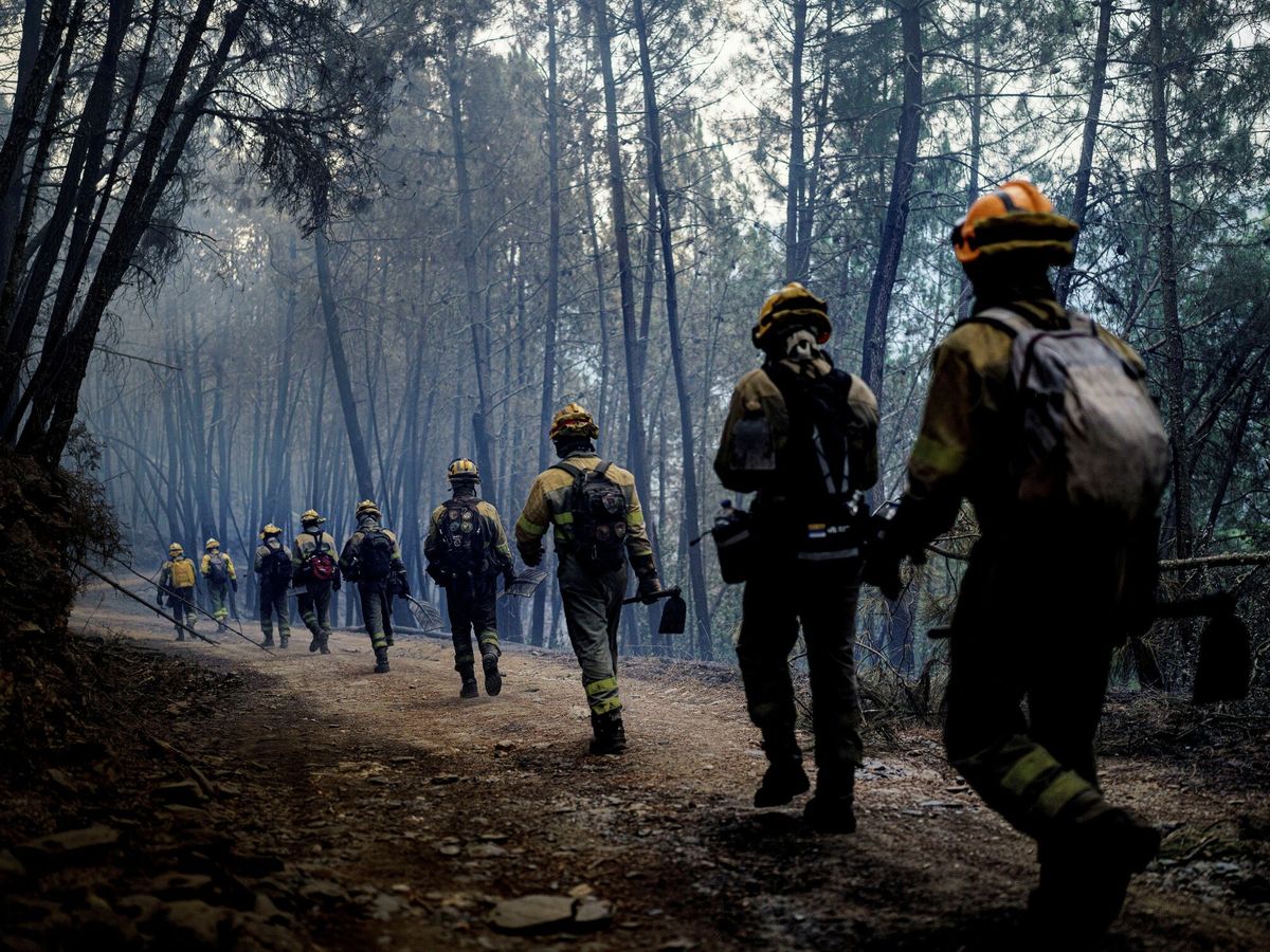 Foto: Los incendios descontrolados son cada vez más frecuentes por la sequía. (EFE/Adra Pallon)