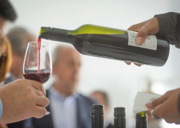 Juez porteño rechazó el amparo de vecinos para frenar el Distrito del Vino en CABA