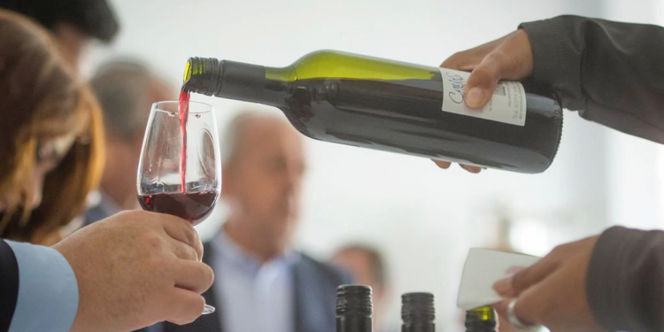 Juez porteño rechazó el amparo de vecinos para frenar el Distrito del Vino en CABA