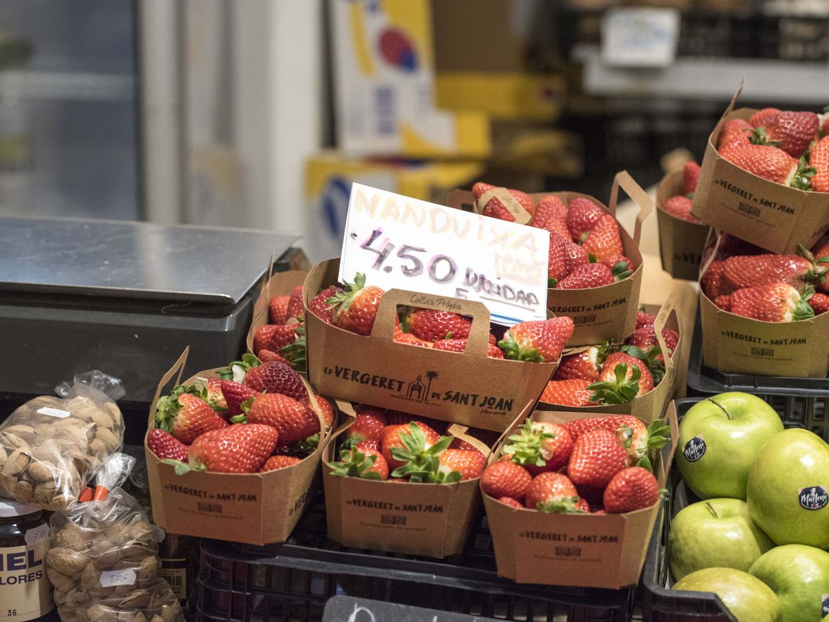 Foto: La inflación se come el poder adquisitivo de los hogares. (EFE/D. A. Sintes)