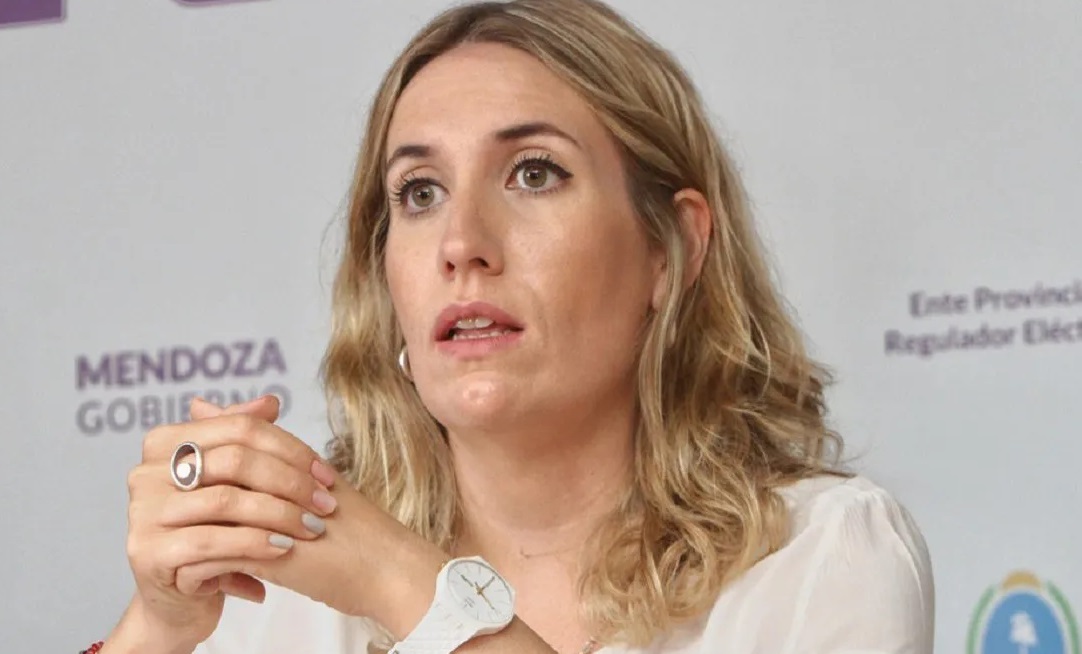 Latorre: “No se protege a los usuarios aumentando subsidios que se financian con inflación”