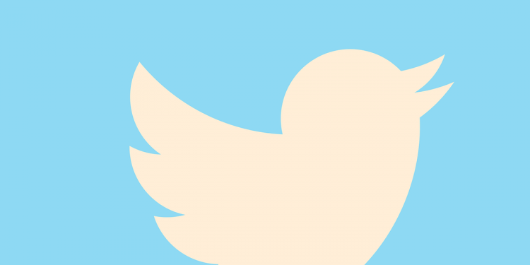 Twitter lanzó un espacio con recursos especiales para creadores de contenido