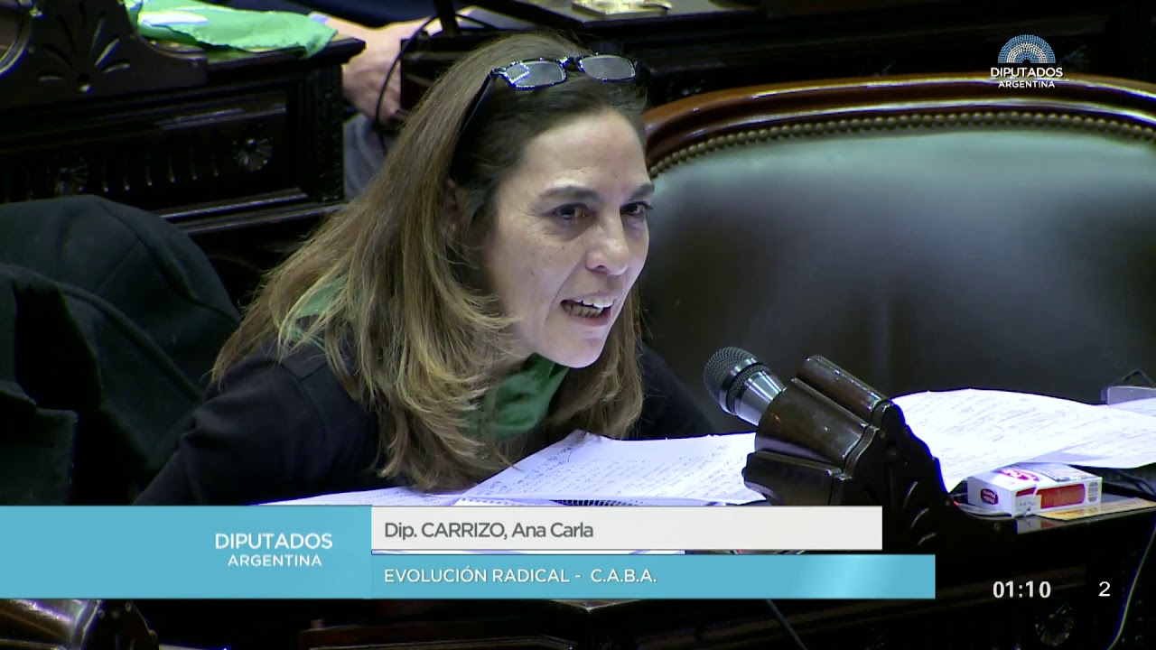 Ignorancia, oportunismo y estupidez: Diputada Carrizo de JxC presenta proyecto de ley para desarmar a policías y militares