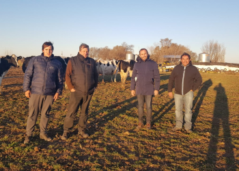 Agricultura inició recorrida de provincias lecheras para diseño de plan estratégico para el sector