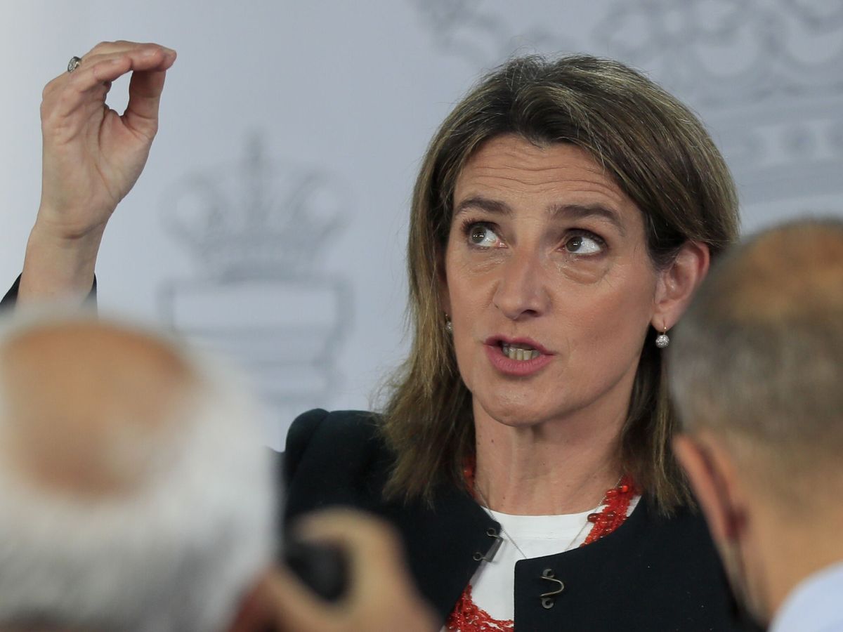 Foto: La ministra de Transición Ecológica, Teresa Ribera. (EFE/Fernando Alvarado)
