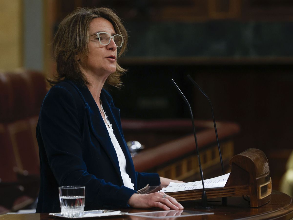 Foto: La ministra de Transición Ecológica, Teresa Ribera. (EFE/J. J. Guillén)