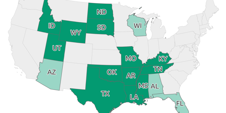 Estados Unidos: estados republicanos inician la carrera por la prohibición del aborto